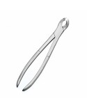 Gowing Tooth Forceps (SS)
