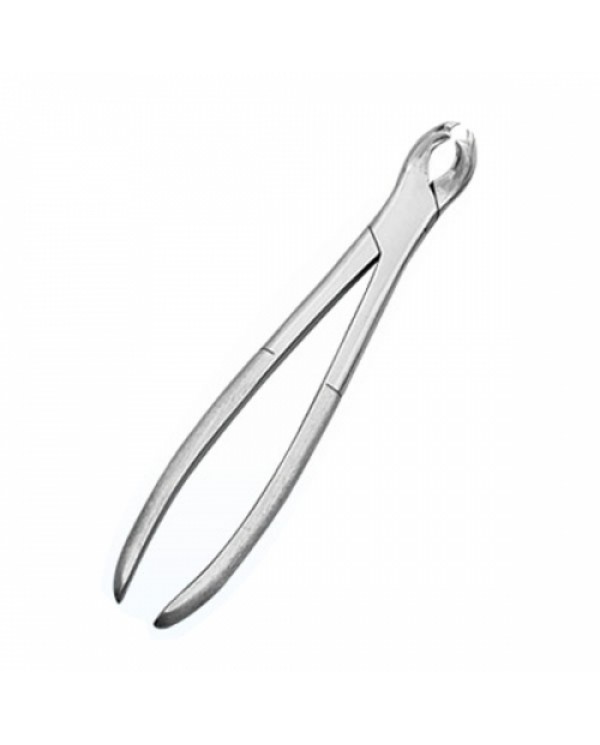Gowing Tooth Forceps (SS)
